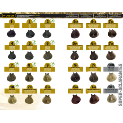 TH  TINTE N 6.31